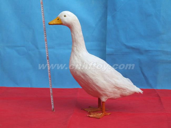 Fur toysDuckYZ017HEZE HENGFANG LEATHER & FUR CRAFT CO., LTD